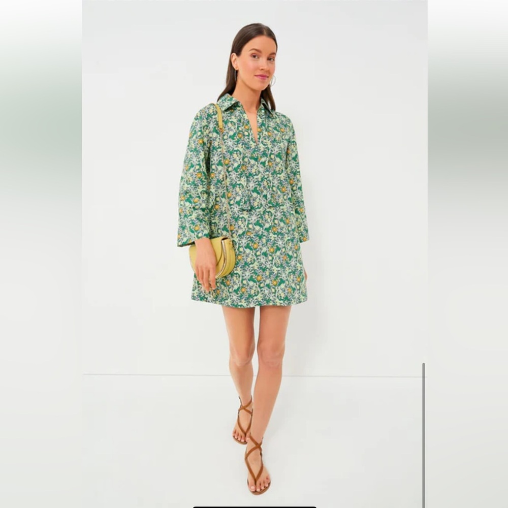 Tuckernuck Hyacinth House Long Sleeve Green Carrington Collared Mini Dress XL - Picture 6 of 11